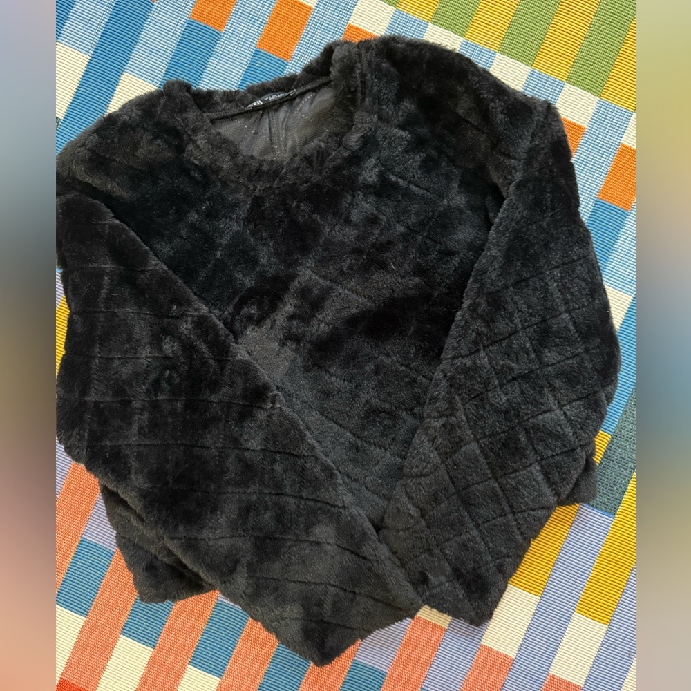Zara Fuax Fur Top